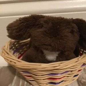 american girl doll pet rabbit